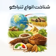 شناخت انواع تنباکو
