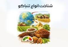شناخت انواع تنباکو