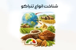 شناخت انواع تنباکو
